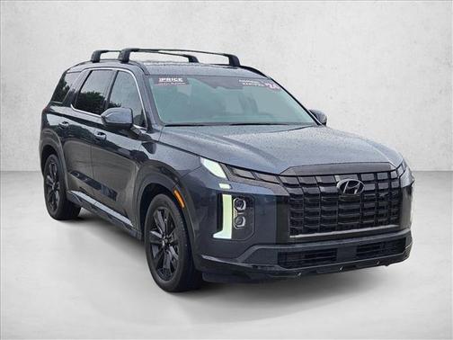 Steel Graphite 2024 Hyundai PALISADE XRT