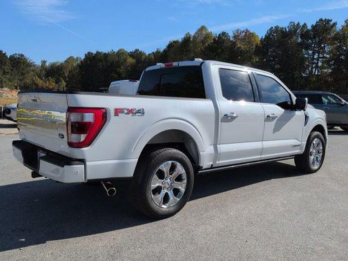 2023 Ford F-150 Platinum
