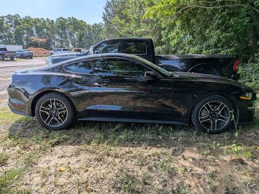 SHADOW BLACK 2019 Ford Mustang EcoBoost
