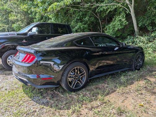 SHADOW BLACK 2019 Ford Mustang EcoBoost