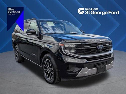 Black Metallic 2025 Ford Expedition Platinum