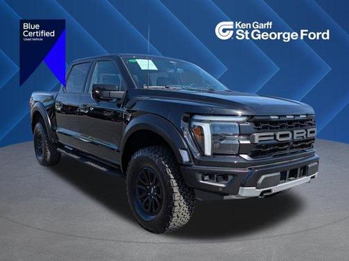 Black Metallic 2025 Ford F-150 Raptor