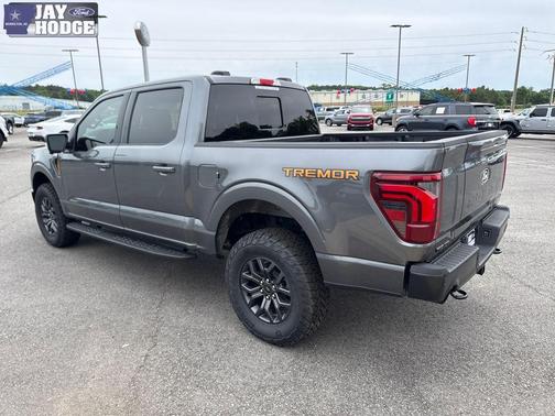 Gray Metallic 2025 Ford F-150 Tremor