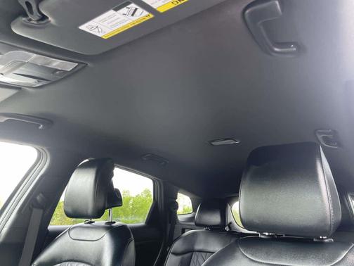 Jungle Green 2024 Kia Sportage X-Line