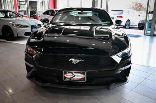 2019 Ford Mustang EcoBoost