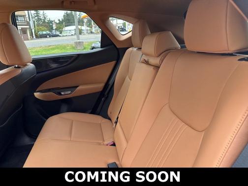 2025 Lexus NX 350 Premium