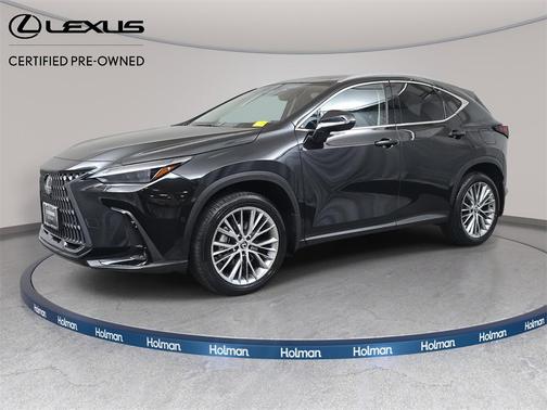 2025 Lexus NX 350h Luxury