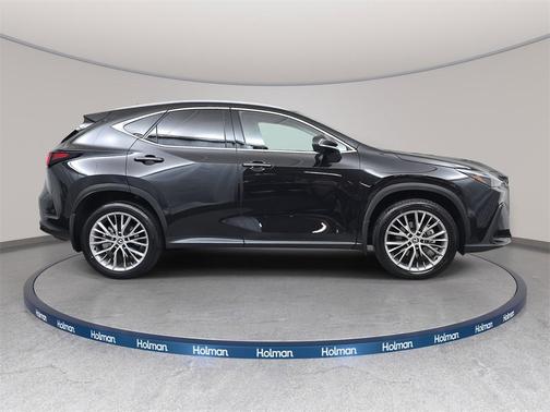 2025 Lexus NX 350h Luxury