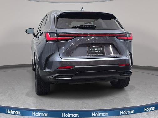 Cloudburst Gray 2024 Lexus NX 450h+ Luxury