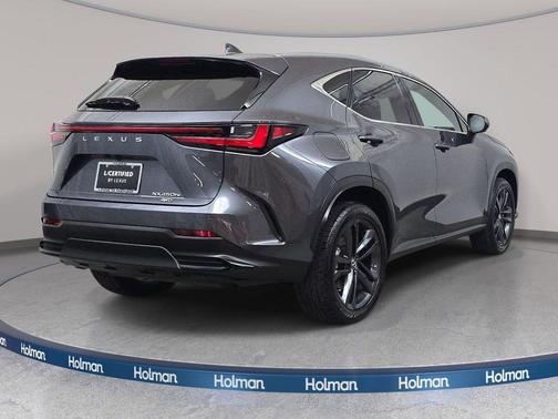 Cloudburst Gray 2024 Lexus NX 450h+ Luxury