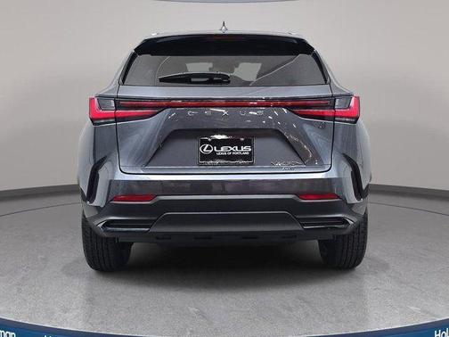 Cloudburst Gray 2026 Lexus NX 450h+ Premium