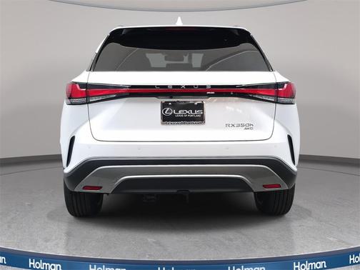 2025 Lexus RX 350 Luxury