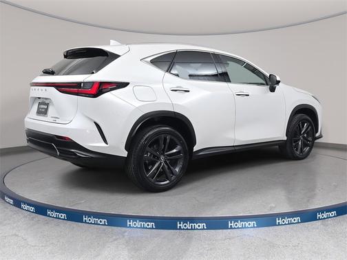 2025 Lexus NX 450h+ Luxury