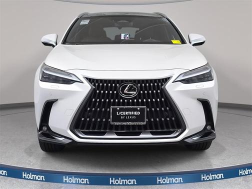 2025 Lexus NX 450h+ Luxury