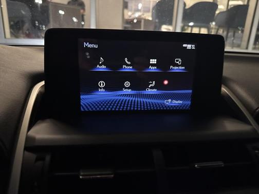 2020 Lexus NX 300 F Sport