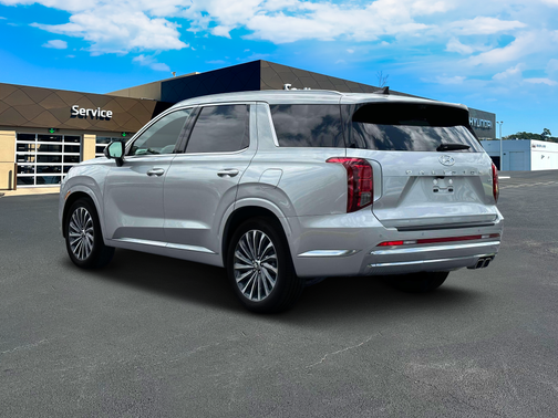 Typhoon Silver 2025 Hyundai PALISADE Calligraphy