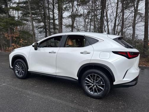 2025 Lexus NX 250 Base