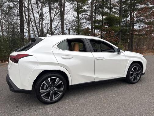 2025 Lexus UX 300h Premium