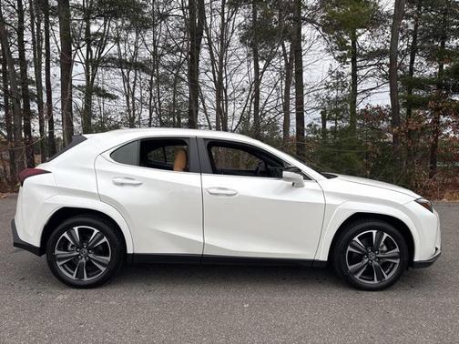 2025 Lexus UX 300h Premium
