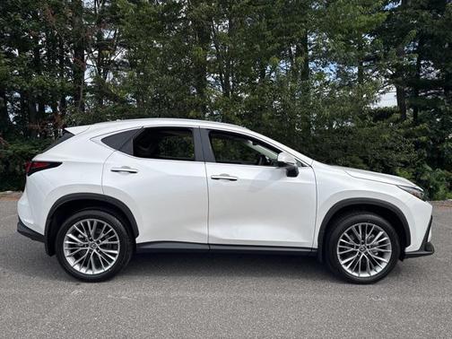 2025 Lexus NX 350 Premium