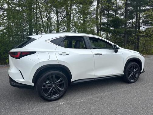 2025 Lexus NX 450h+ Luxury