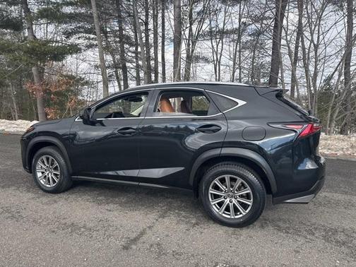 2021 Lexus NX 300