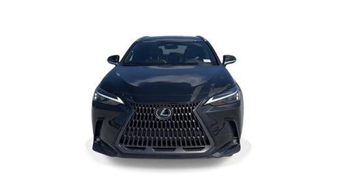 2024 Lexus NX 250 Premium