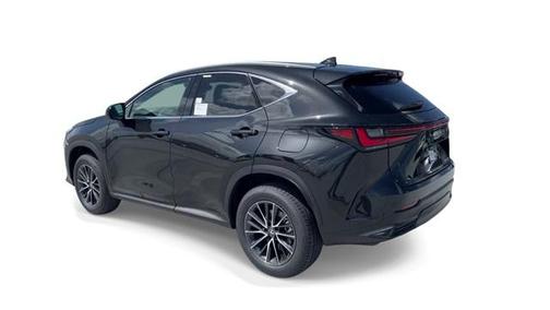 2024 Lexus NX 250 Premium