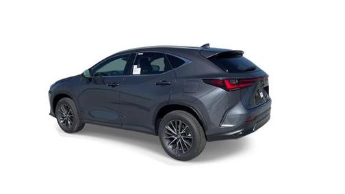 2024 Lexus NX 250 Premium