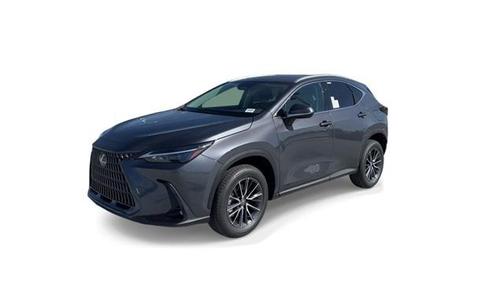 2024 Lexus NX 250 Premium