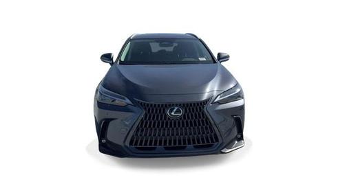 2024 Lexus NX 250 Premium