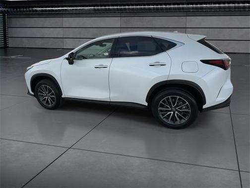 2025 Lexus NX 250 Premium