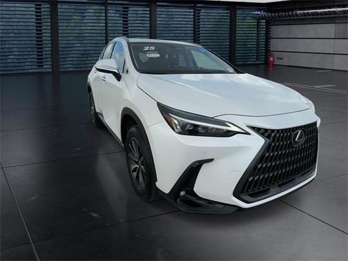 2025 Lexus NX 250 Premium