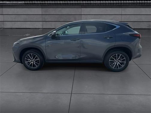 2024 Lexus NX 250 Base