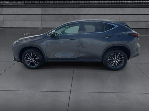 2024 Lexus NX 250 Base