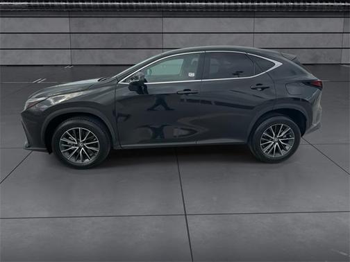2023 Lexus NX 250 Premium