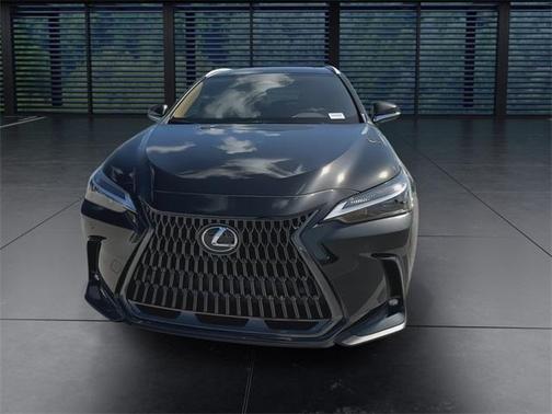 2025 Lexus NX 250 Premium