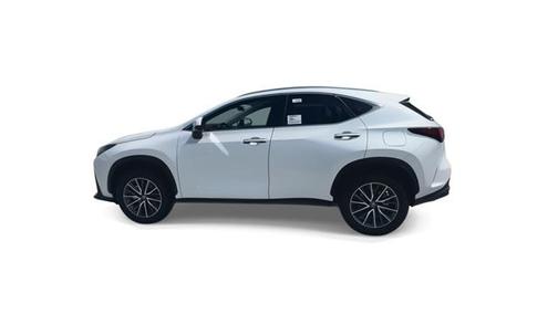 2025 Lexus NX 250 Base