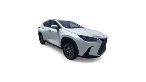 2025 Lexus NX 250 Base