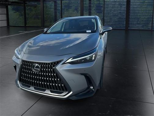 2024 Lexus NX 250 Premium