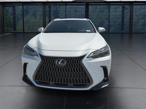 2025 Lexus NX 250 Premium