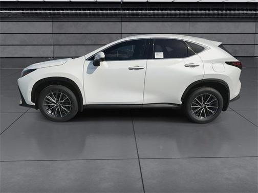 2025 Lexus NX 250 Premium