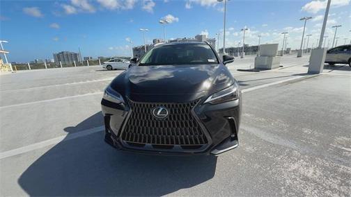 2025 Lexus NX 250 Premium