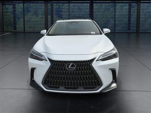 2025 Lexus NX 250 Premium