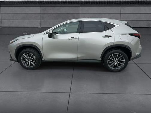 2024 Lexus NX 350h Premium