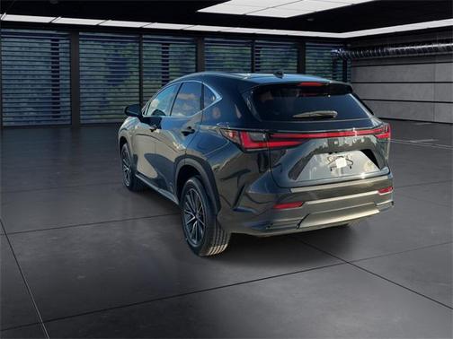2024 Lexus NX 250 Premium