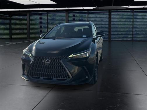 2024 Lexus NX 250 Premium