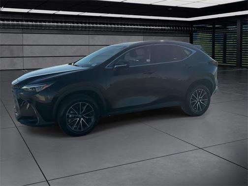 2024 Lexus NX 250 Premium