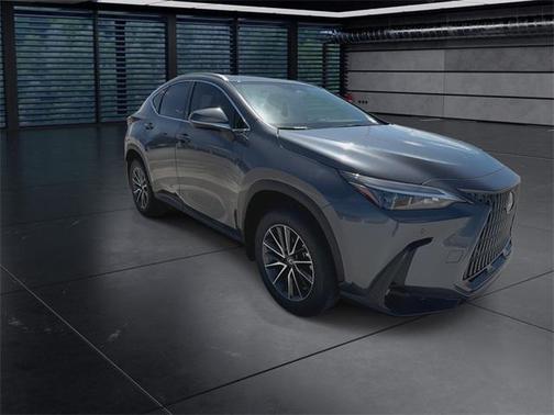 2025 Lexus NX 250 Premium