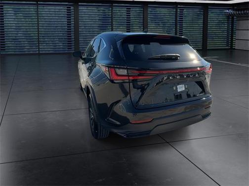 2025 Lexus NX 250 Premium